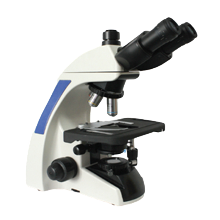 眼见为实：颗粒图像分析仪如何重塑粉体与颗粒的世界